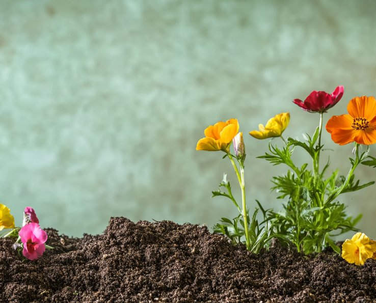 Compost obligatoire en france depuis 2024